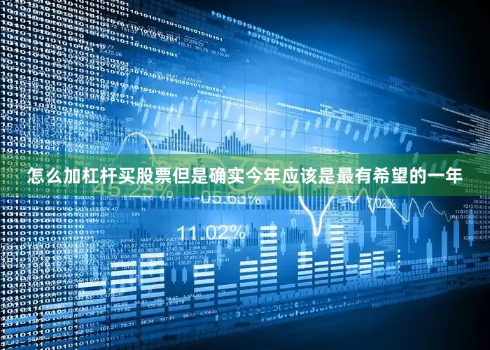 怎么加杠杆买股票但是确实今年应该是最有希望的一年