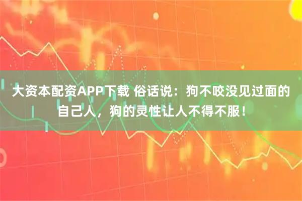 大资本配资APP下载 俗话说：狗不咬没见过面的自己人，狗的灵性让人不得不服！